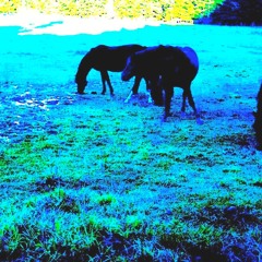 Unloading from the Day