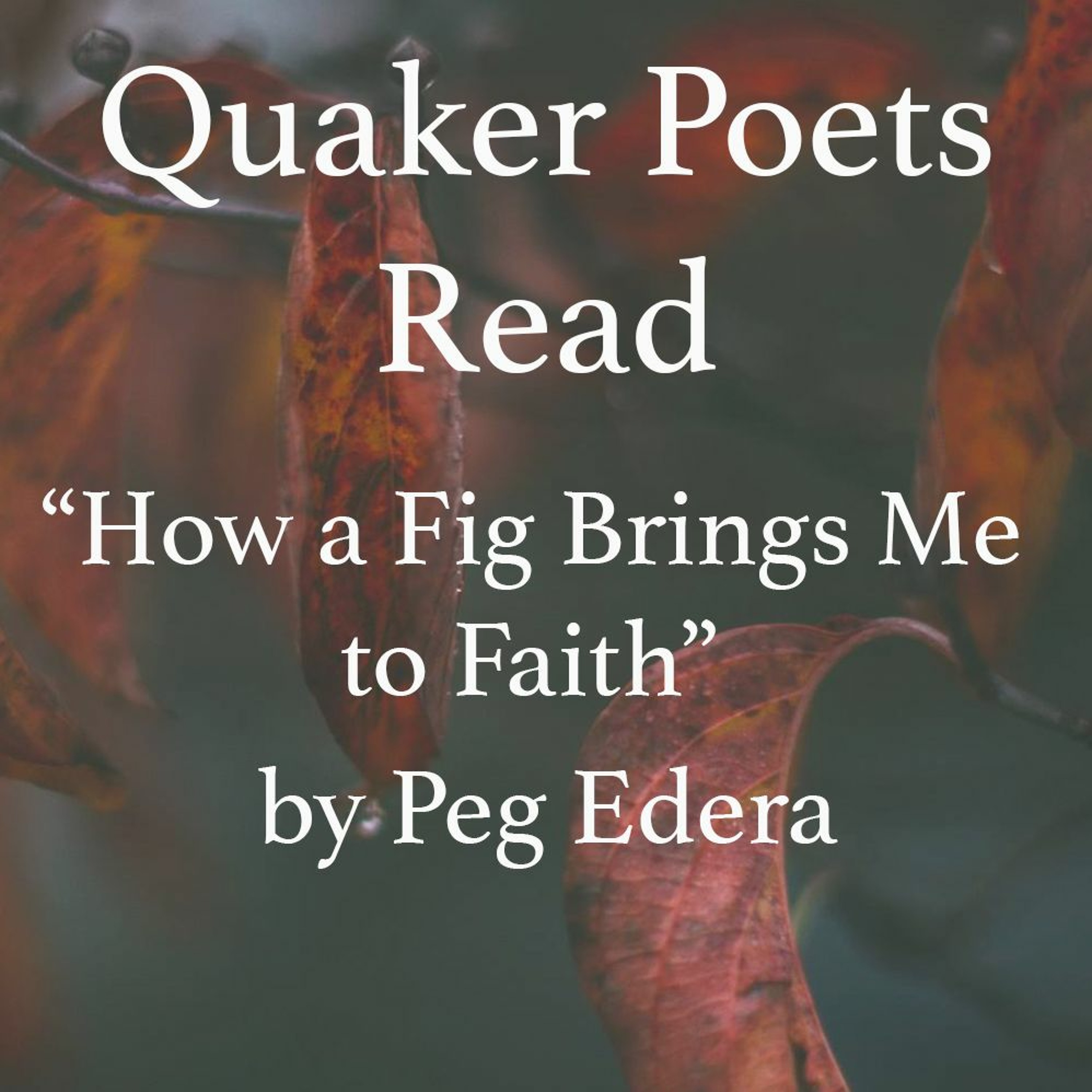 Quaker Poets Read: "How a Fig Brings Me to Faith" by Peg Edera episode artwork