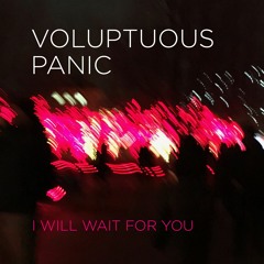 Voluptuous Panic / I Will Wait For You