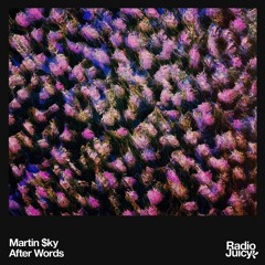 MARTIN $KY - After Words