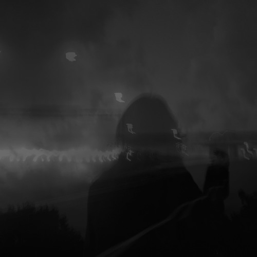 MRKRYL & gℓo - ours