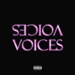 Lil Kill x conan nobødy - Voices (prod. Wavekid)