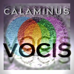Vocis