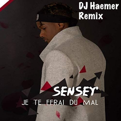DJ Haemer Remix Sensey' - Je Te Ferai Du Mal 2019