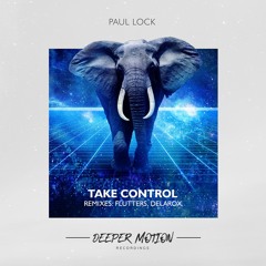 Paul Lock - Take Control (Delarox Remix)