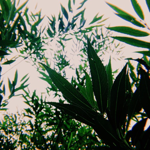 KayCyphr X Still.Floating - Lyra.