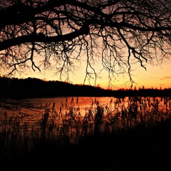 Awakening