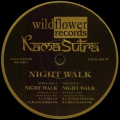 Kamasutra - Night Walk (Black Horses)