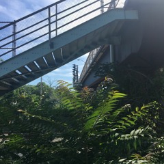 Mix For Dubmission July 2018