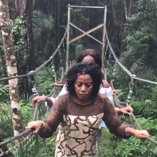 MIKE - Rainforest