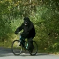 YOU CANT TELL ME BIGFOOT IS REAL DYLAN (conspiracy episode)
