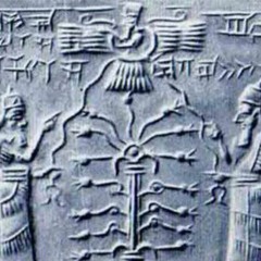 Kaikkialla - The Sumerian [190] Soon On STZ - Records