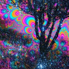 Acid Dream