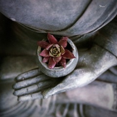 Power of Now. Soma+ Sound Healing