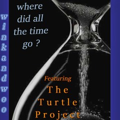 Where Did All The Time Go ? Feat. The Turtle Project