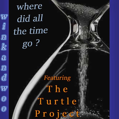 Where Did All The Time Go ? Feat. The Turtle Project