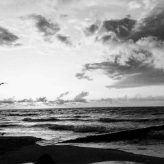 "The Gray Beach" on Cello