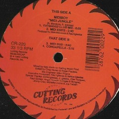 Midiboy "Midi Jungle" (1988)