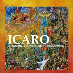 Icaro  Bawaka - Skyecatcher Collaboration