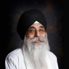Mera Baidh Guru Govinda - Bhai Chatter Singh Ji