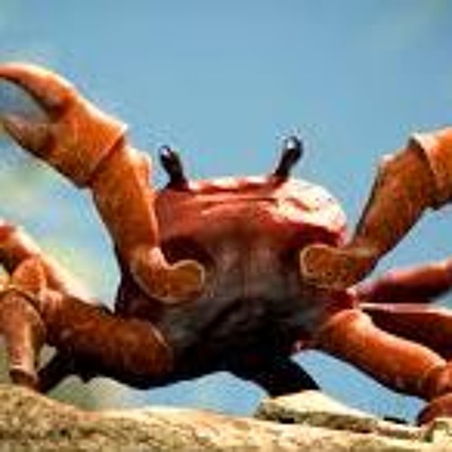 Crab Rave