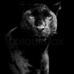 Never Change - FT Yung Eli - prod chadmitchell