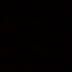 *THE PARTY (prod. the boy)