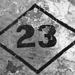 23