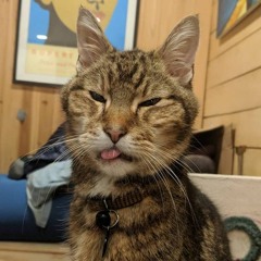 here's to the little man