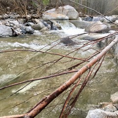 Lower Bend in the Arroyo Seco (20190223_01)