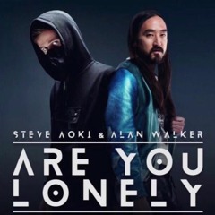 Alan Walker & Steve Aoki - Are You Lonely (Versy Edit)