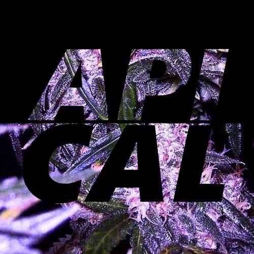 Techno Creature - Apical Records Podcast 2019