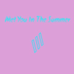 Met You In The Summer (Calvin Harris x Marshmello x Whitney Houston)