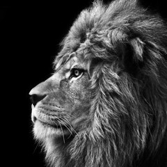 Darkclaw (Original Mix) - VS - Bombaya