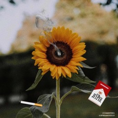 JEYPEH* ~ CIGARETTES