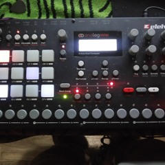 jungle rytm