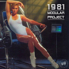 DC Promo Tracks #339: Modular Project "1981"(Kasper Bjørke Bonus Beat Version)