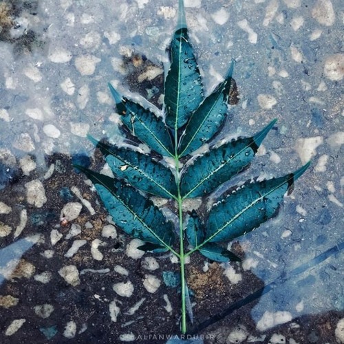 Tum_se_ full song (jalebi) feel the love❤️