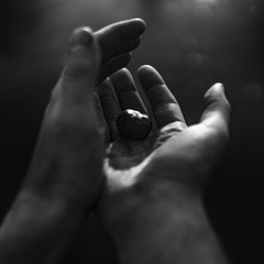 Quiet Company (feat. VANJA)