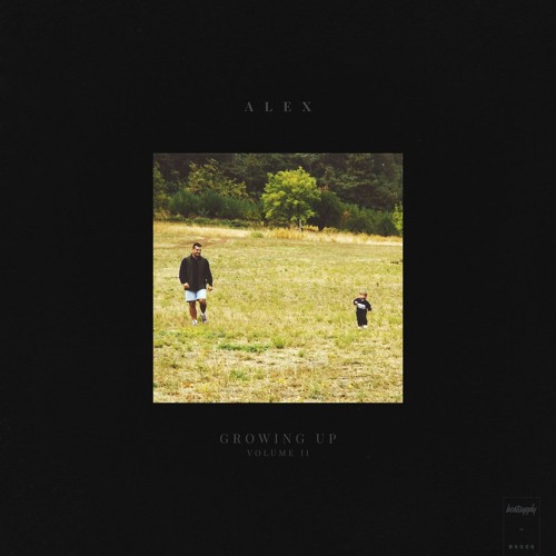 A L E X - yyyy