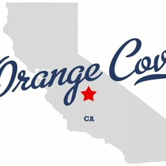 ORANGECOVE 559 (WORDS OF ADVICE)