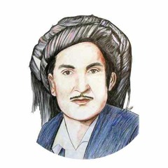 حسن زیرک