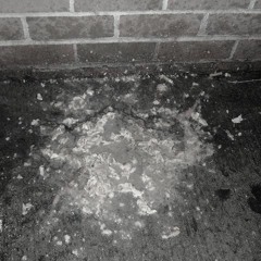 asn648 & don dose - fünfeuro