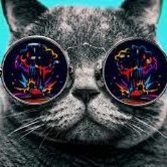 The Freaky Deeky Style