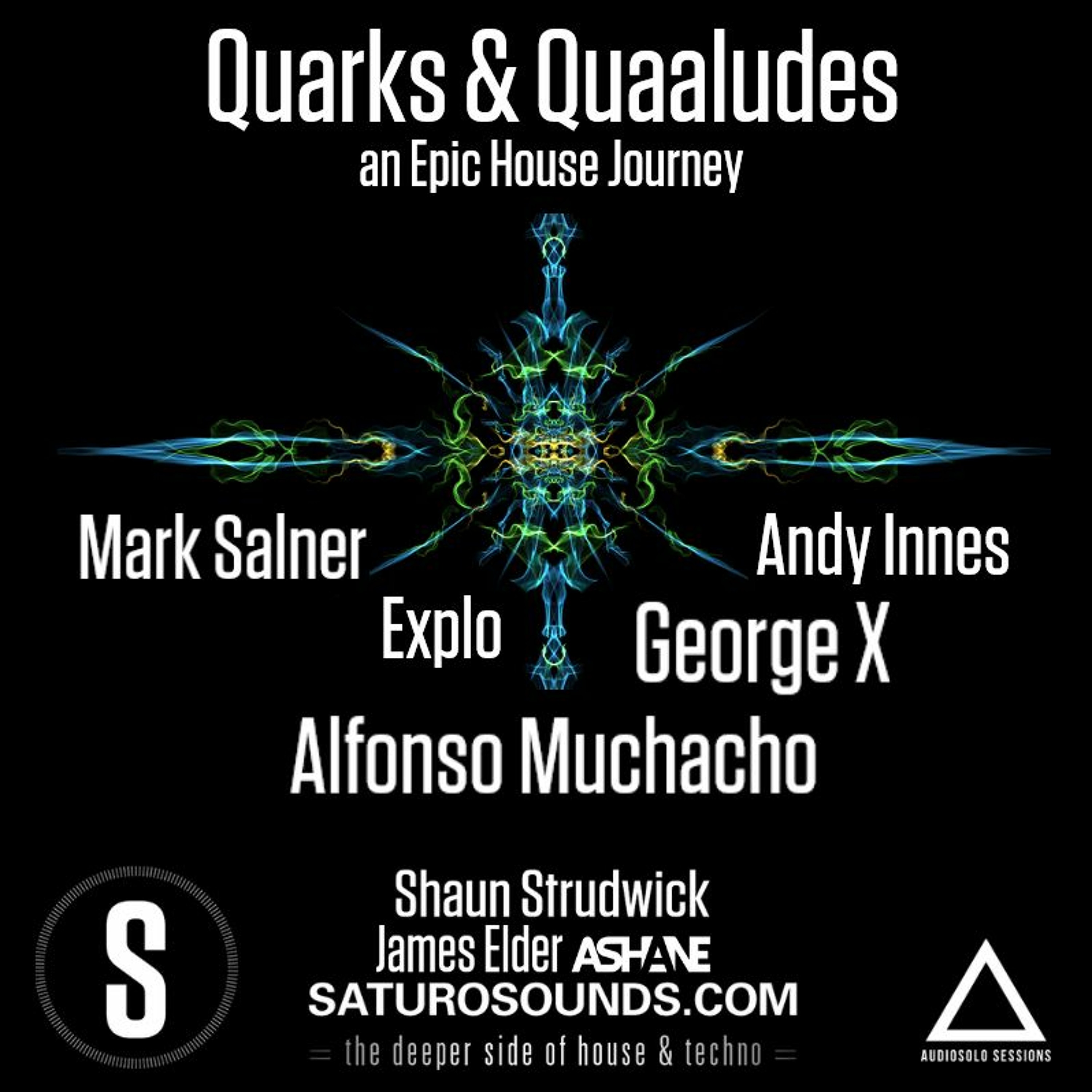 Quarks & Quaaludes #EpicHouseJourney