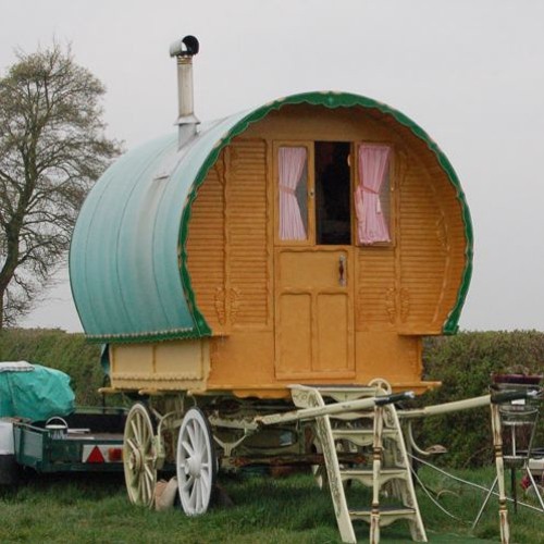 a gypsy elong the musky hyperloop