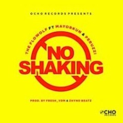 The Flowolf Ft. Mayorkun X Peruzzi- No Shaking