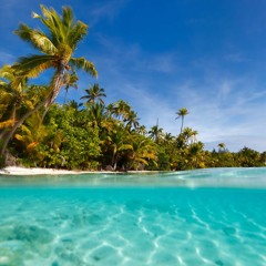 Мені Б На Острів В Тихім Океані (сл. Людмила Пуляєва - Чижович, муз. Олександр Свєтогоров)