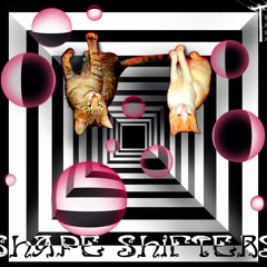 Try to thrive (Released 27/02/2019  VA SHAPE SHIFTERS BY ELECTRIC POWER POLE RECORDS)