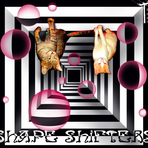 Try to thrive (Released 27/02/2019  VA SHAPE SHIFTERS BY ELECTRIC POWER POLE RECORDS)